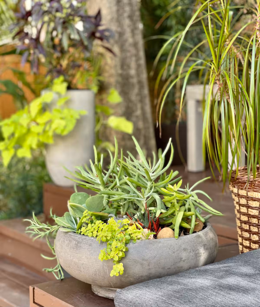 1c6b01e6 ffb8 461a ade3 89390c78bdf7