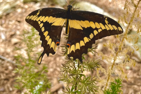 1cd22620 b3d7 48bb a585 83971c031cb5