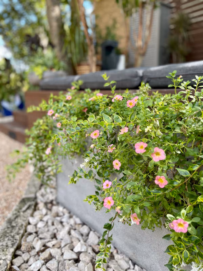 4ed2c026 269d 45c3 9e95 973ee9f40cc0