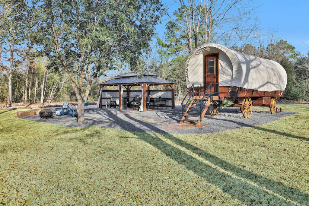 1d7efa36 1121 4c26 bff9 1c2ffedcd19b.jpeg