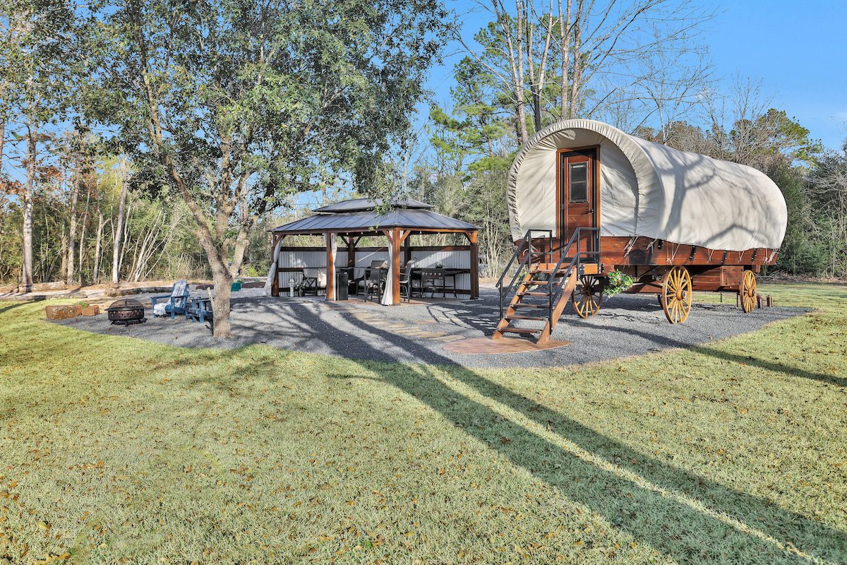 1d7efa36 1121 4c26 bff9 1c2ffedcd19b.jpeg