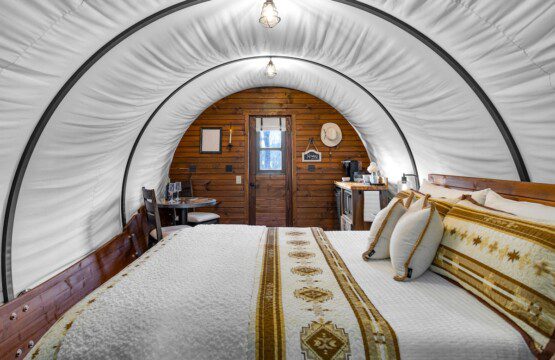 95479cf7 159d 483d 9ce1 aaf4ed49f080.jpeg