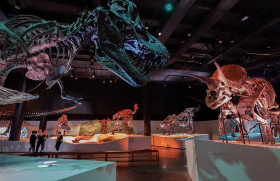 4990b34f 71e0 426c bb20 18cb793564b8.jpeg