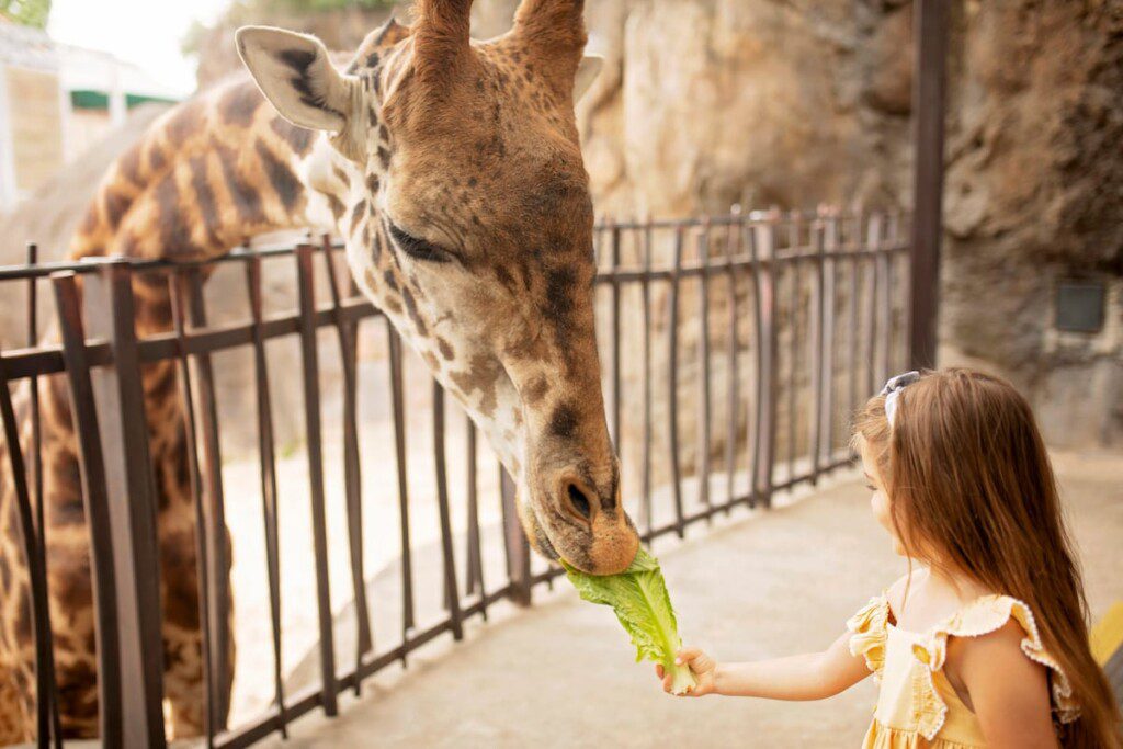 6d1478cc a6de 4cd7 a0b2 a588599de38d.jpeg