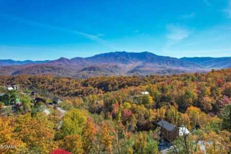 9d39e2b9 2bd3 4d6c ae45 ff9c720c4f00.jpeg