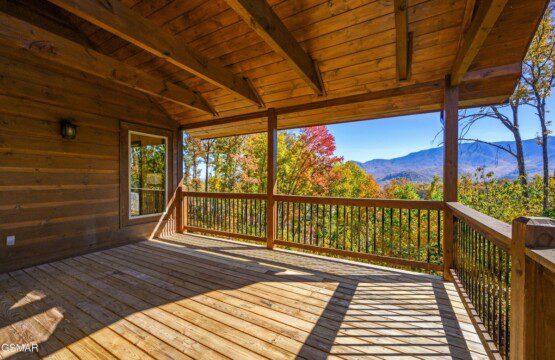 f4dc0443 c99d 4e33 8784 4db7f90ea606.jpeg