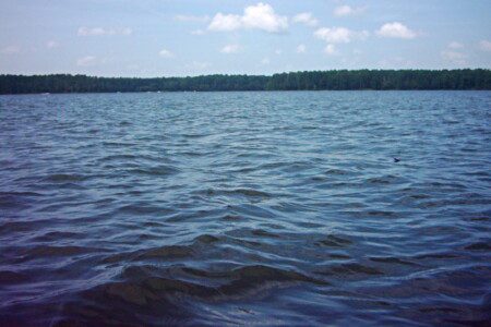 Scenic view of Lake Conroe waters with forested shoreline in Montgomery County Texas