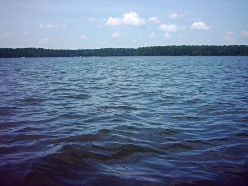 Scenic view of Lake Conroe waters with forested shoreline in Montgomery County Texas